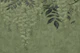 Moss Green Wisteria Garden