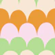 Colourful Scallop Stripes 5