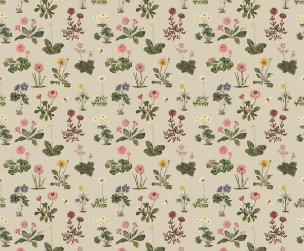 Vintage Wildflower Meadow creme