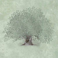 Mediterranean Olive Tree - Sage Green tapete