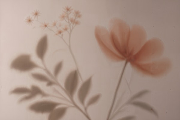 Soft Blush Floral Shadows