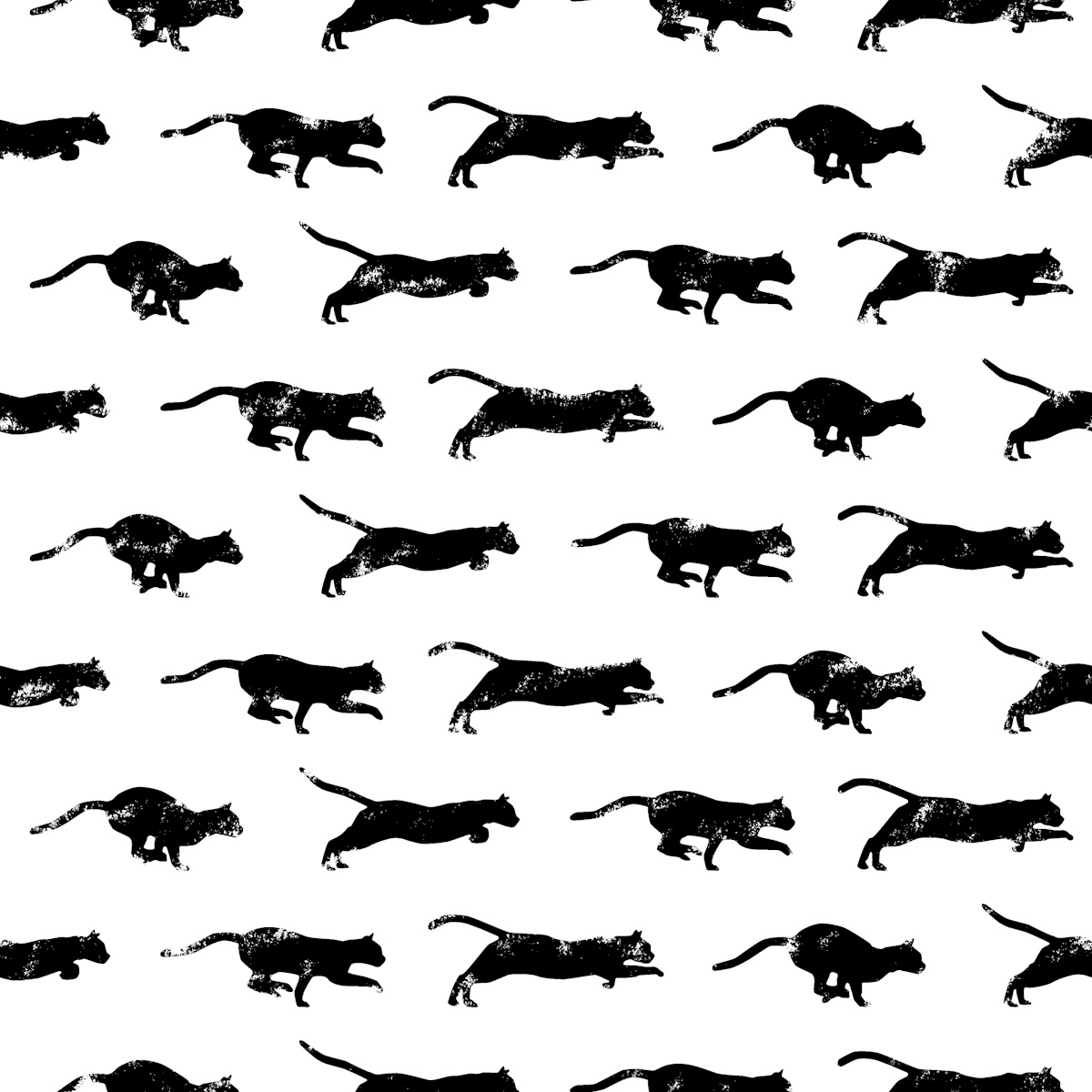 modernoanimalprint
