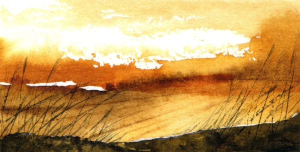 Sunlit Meadow Horizon
