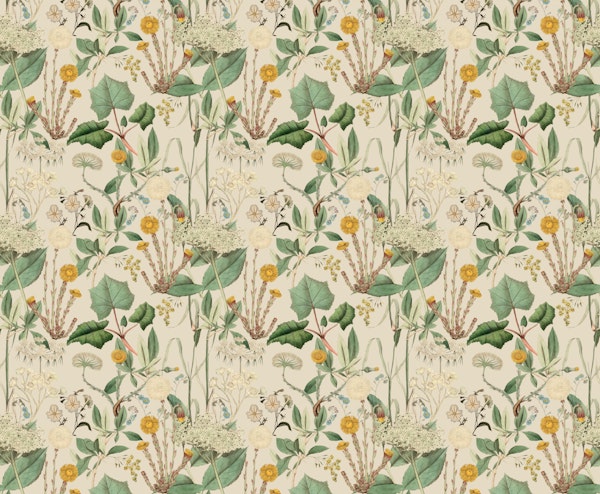 Coltsfoot Meadow creme