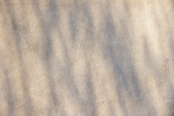 Spring Morning Shades 2
