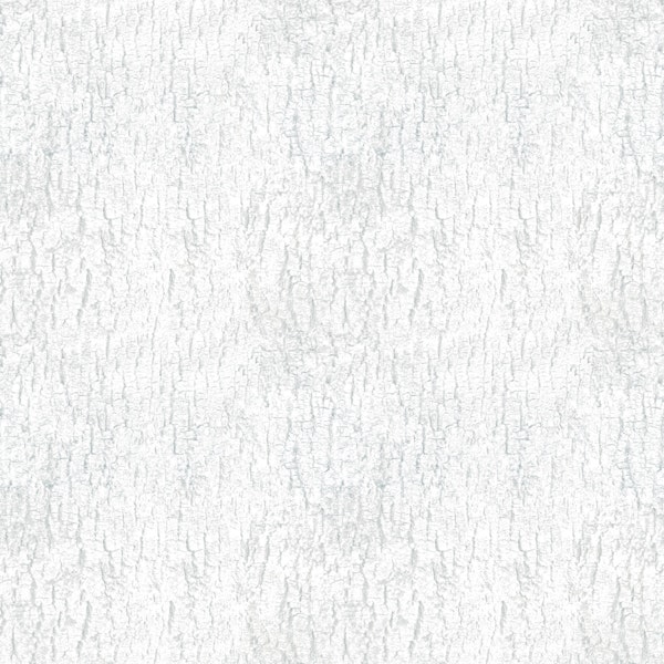 Soft White Grey Tree Bark Wood Texture