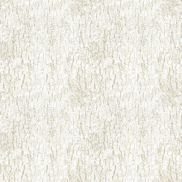 Sage Green Rustic Tree Bark Wood Texture
