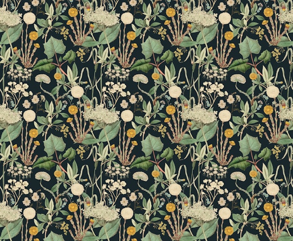 Coltsfoot meadow dark blue