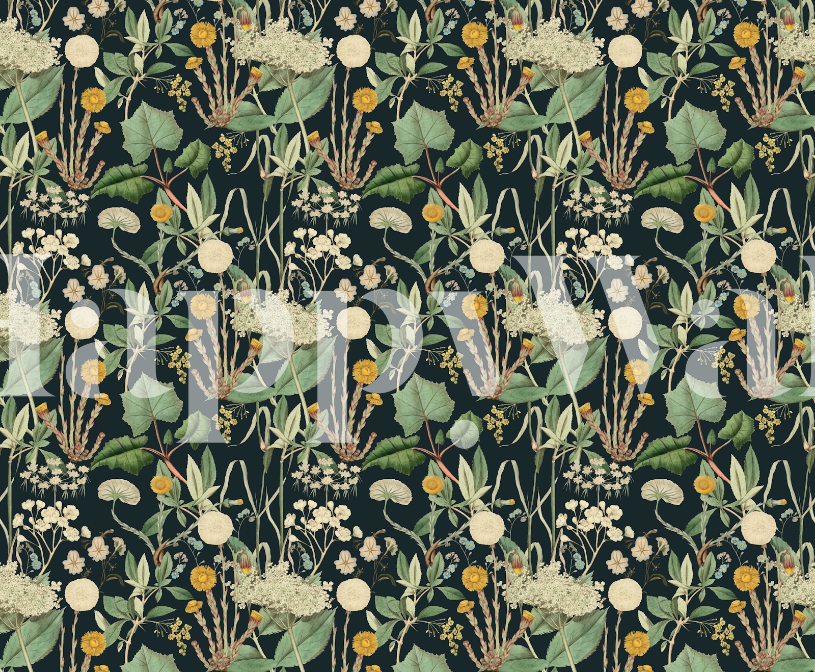 Coltsfoot meadow dark blue tapete