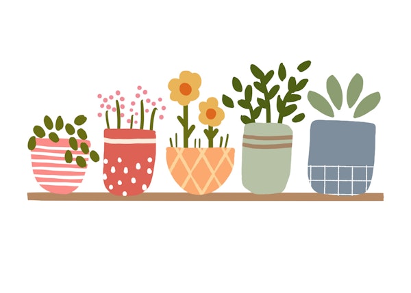 Garden Shelves
