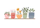 Garden Shelves