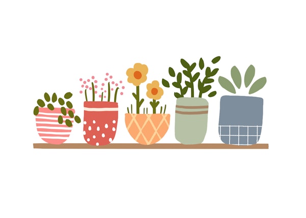 Garden Shelves