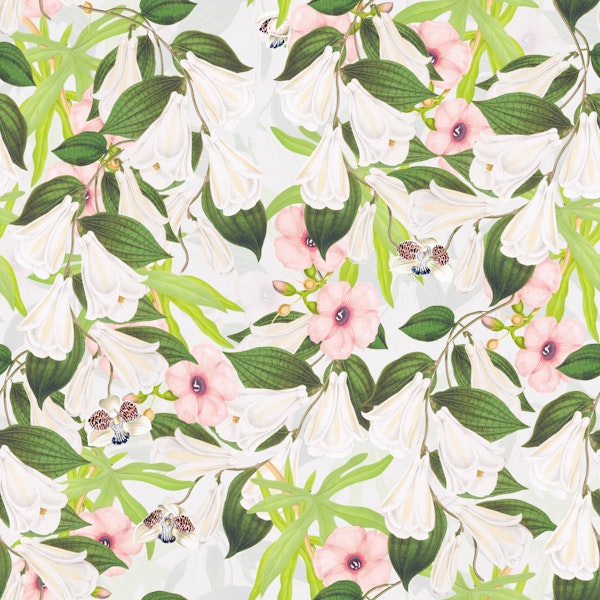 Paradise Floris