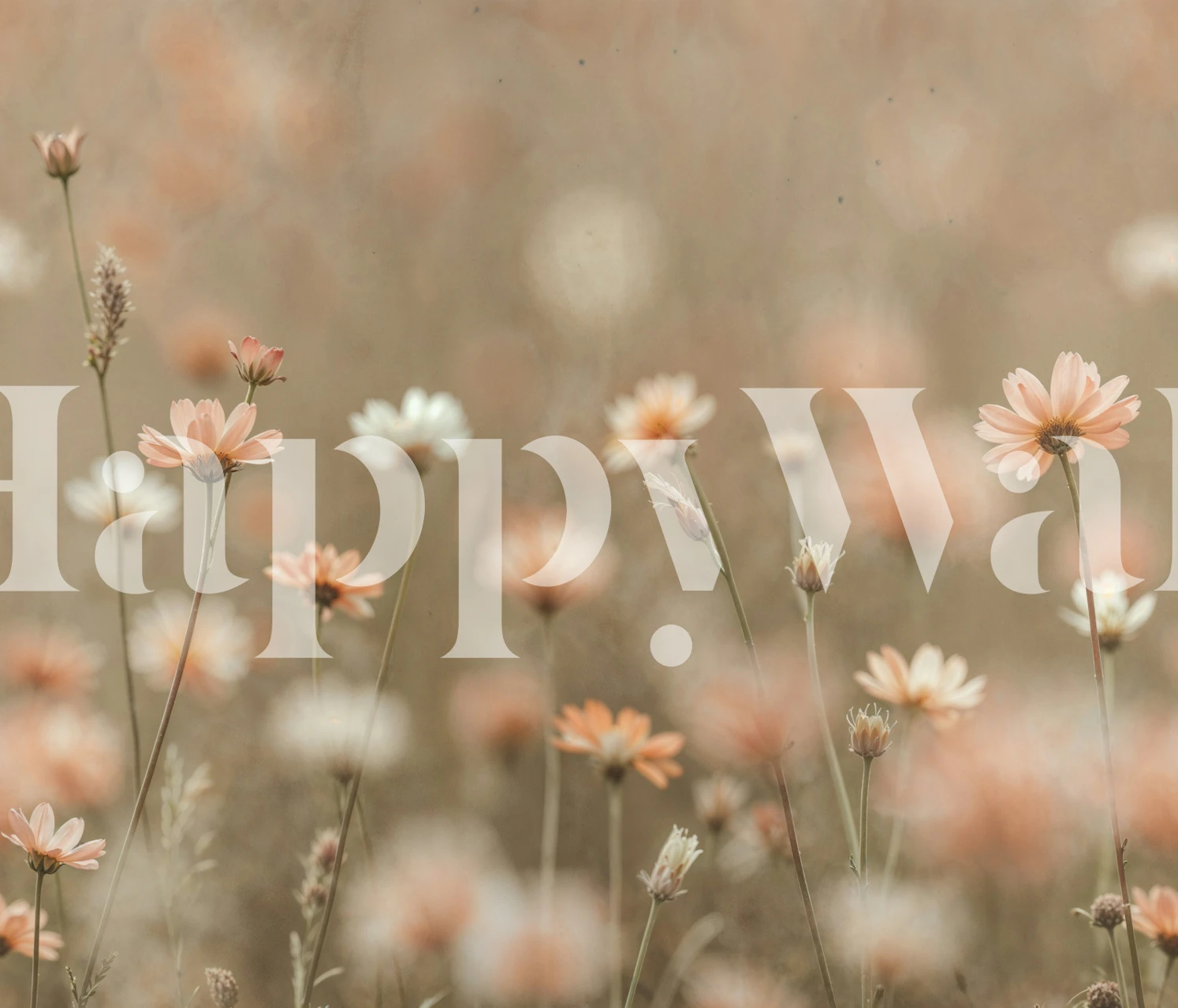 Soft Focus Cosmos Flowers wallpaper in a room