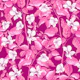 Floral Poetry 17