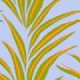 Bold tropical jungle plants 3