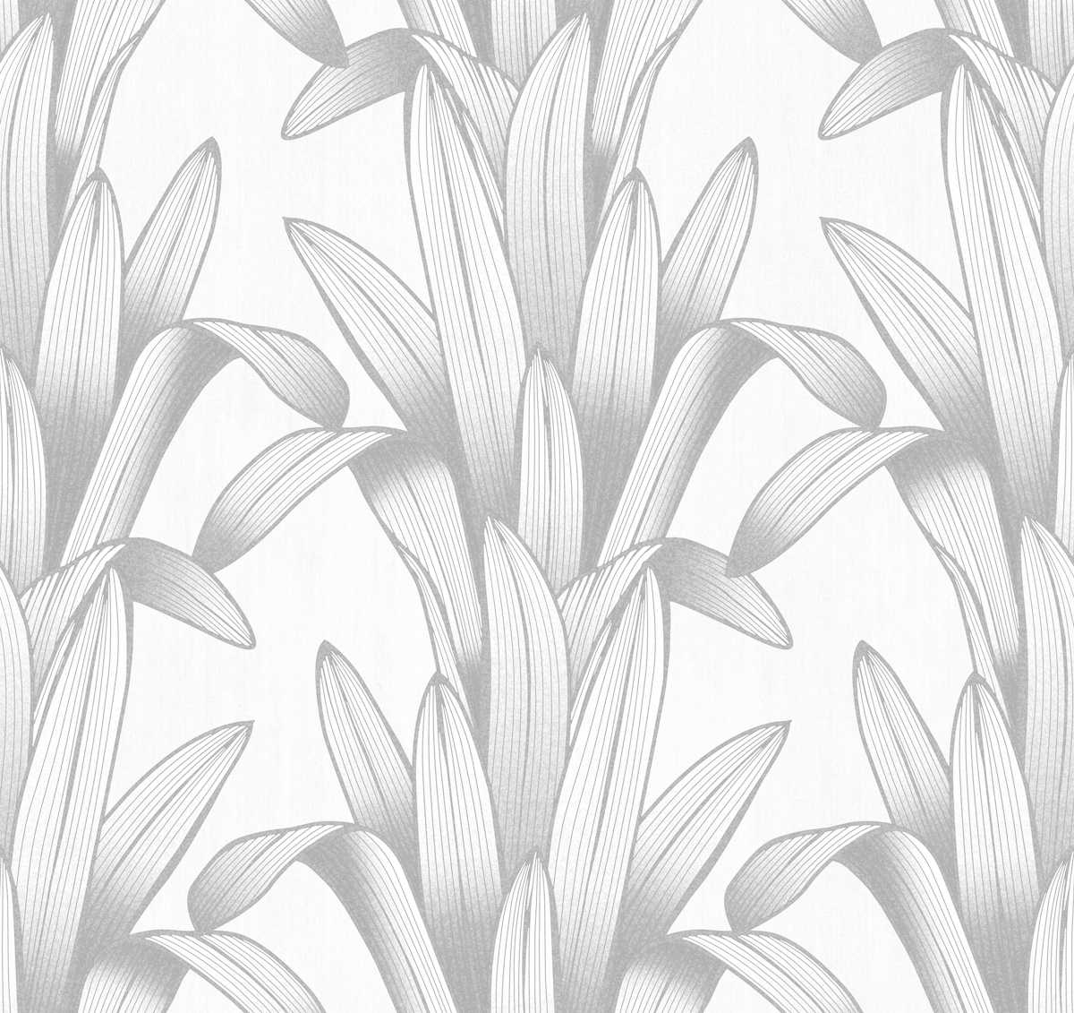 whitegray