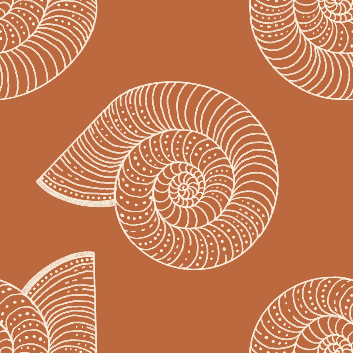 shell