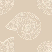 monochrome seashells patern neutral tapeta