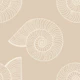 monochrome seashells patern neutral