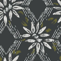 Modern Charcoal Boho Daisy White Petals tapet