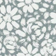 Coastal Blue Daisy Rose Blooms