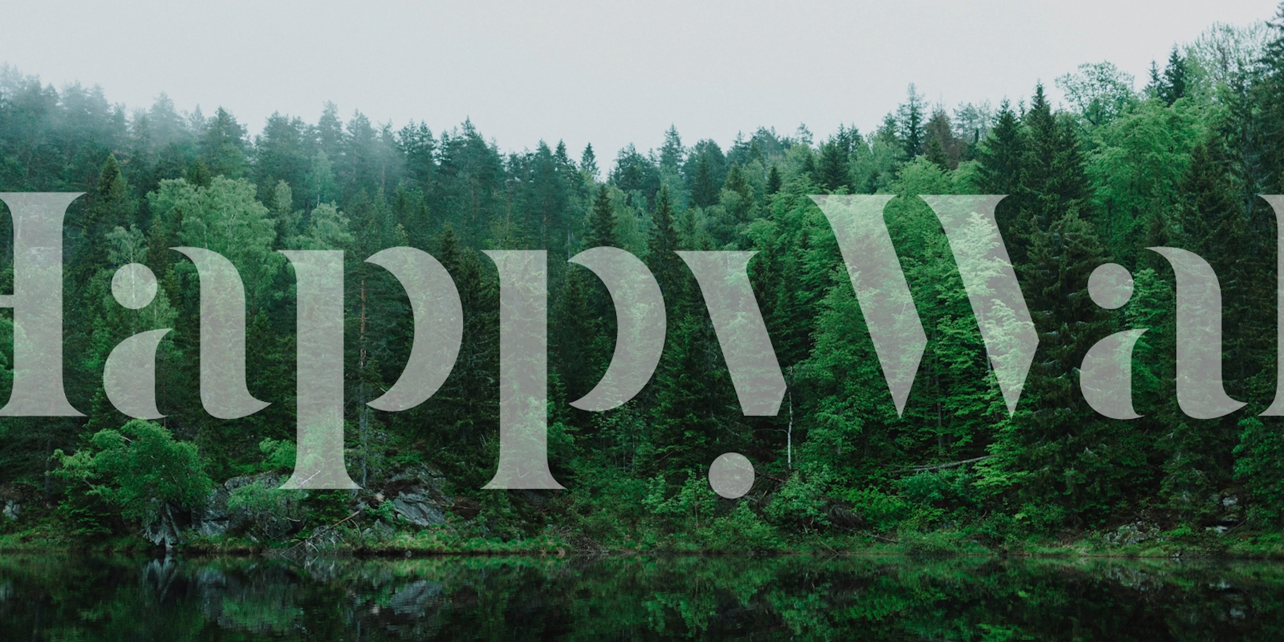 Nordic Pine Forest tapety