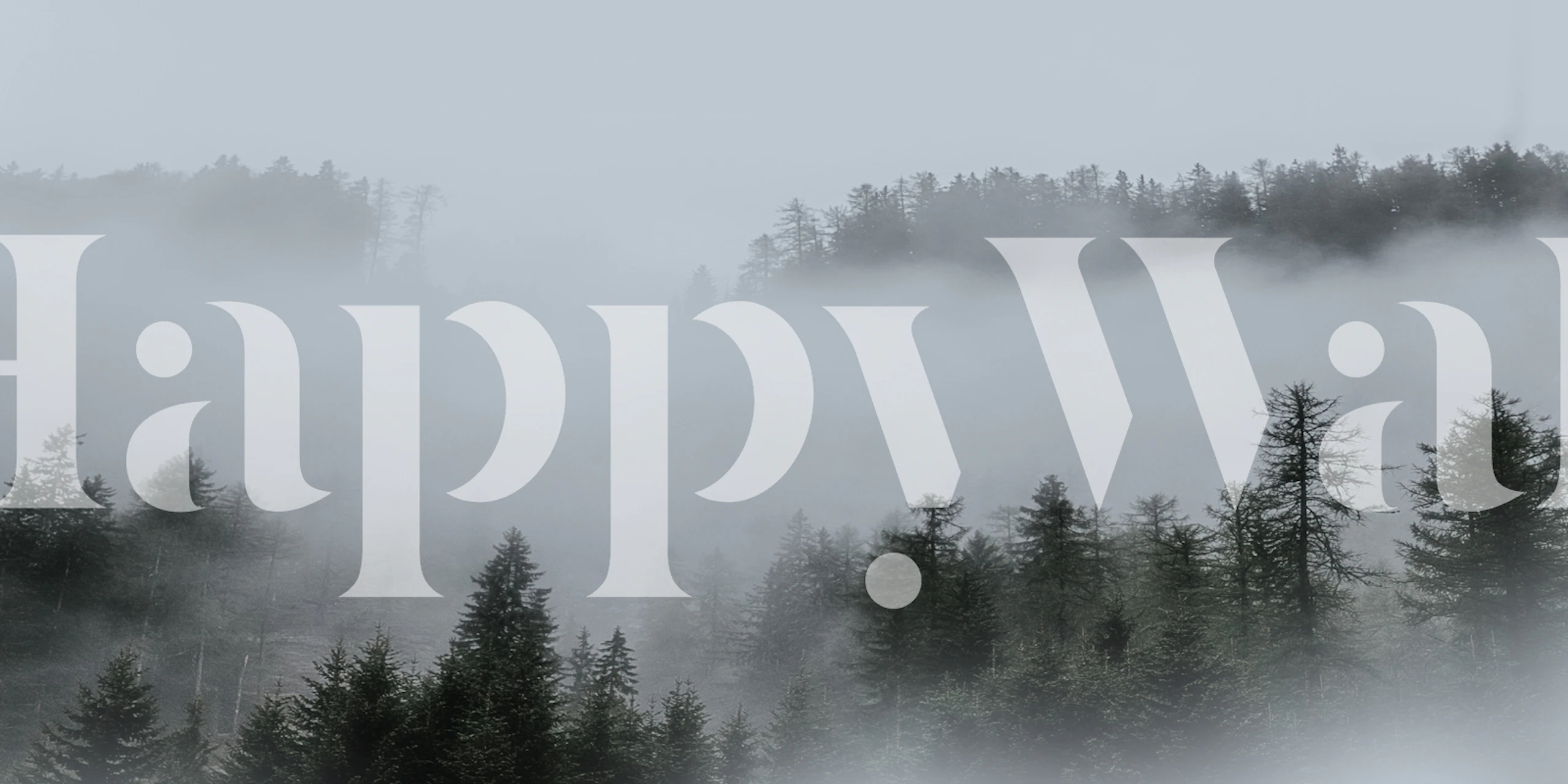Misty Pine Forest Hills wallpaper