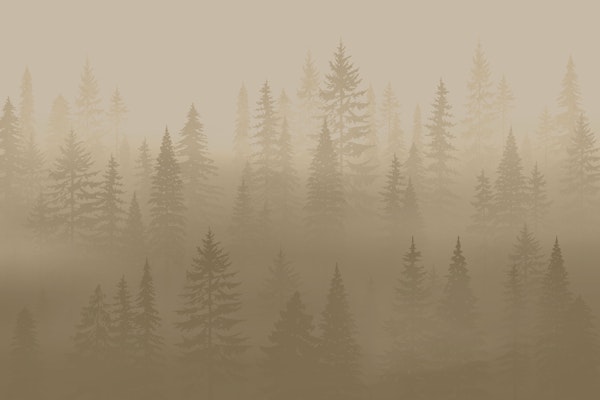 Misty Pine Forest Sepia