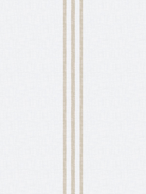 Minimal Beige Stripe Linen Texture