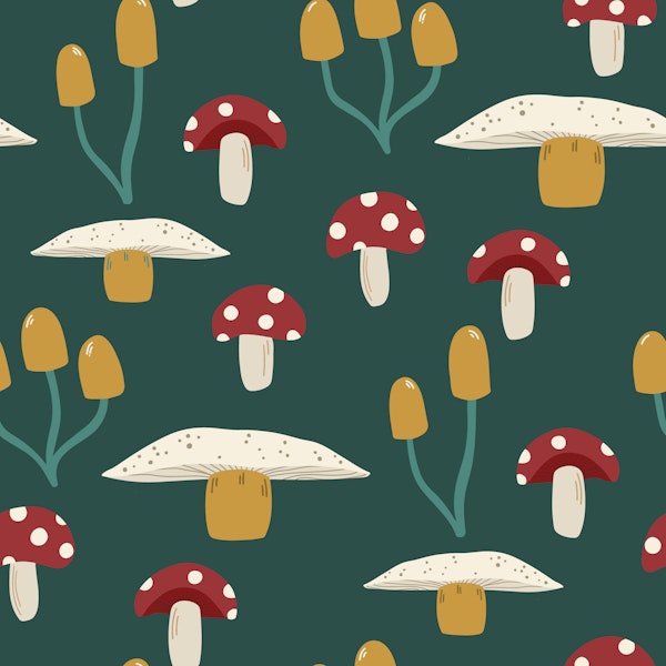 Retro Mushroom Toadstool in Teal and Cherry