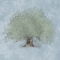 Mediterranean Olive Tree - Misty Blue tapete