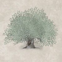 Mediterranean Olive Tree - Greige tapete