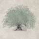 Mediterranean Olive Tree - Greige
