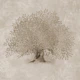 Mediterranean Olive Tree - Sepia