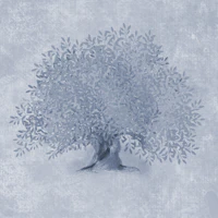Mediterranean Olive Tree - Dove Blue tapete