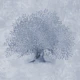 Mediterranean Olive Tree - Dove Blue