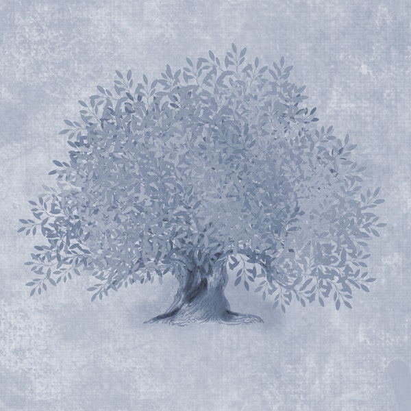 Mediterranean Olive Tree - Dove Blue