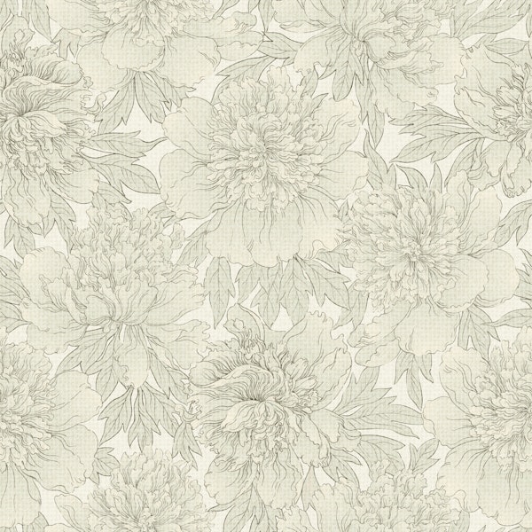 Cream Peonies Botanical Linework