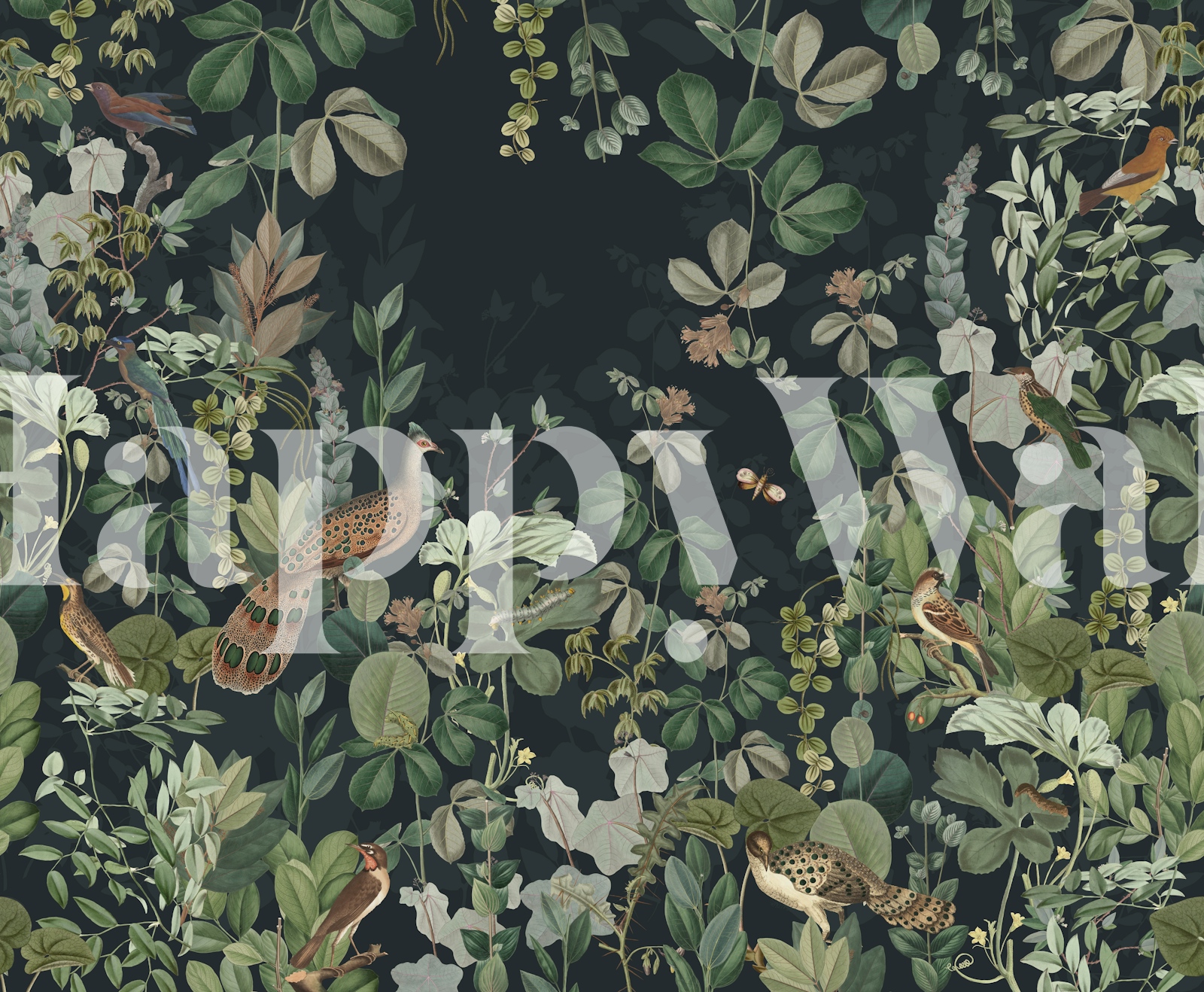 Peacok paradise wallpaper design in a room