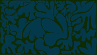 Night Garden Botanical Shapes tapete