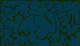 Night Garden Botanical Shapes