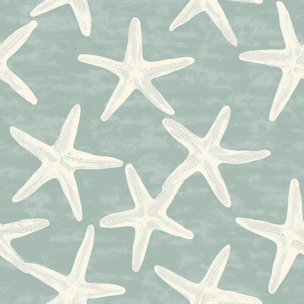 Soft Aqua Starfish Scatter Pattern M