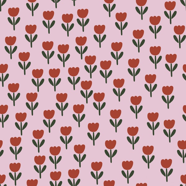 Cute Tulip