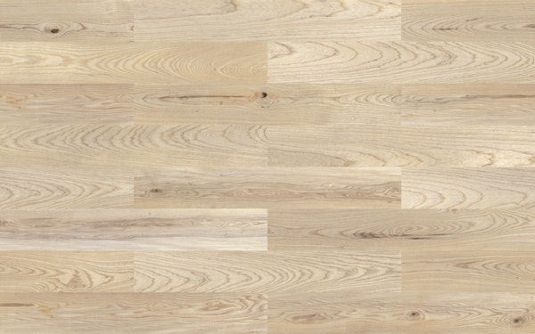Oak Wood