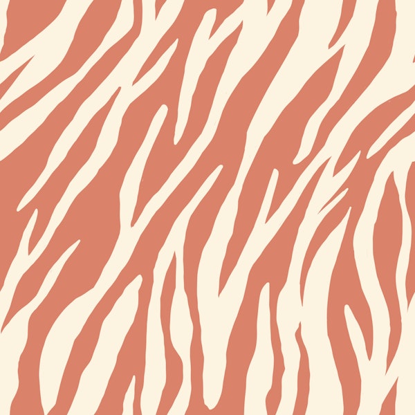 zebra fur terracotta