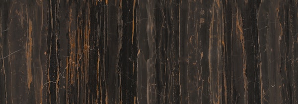 Black Marble with Gold Veins