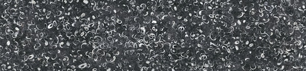 Black Fossil Marble