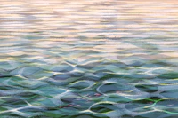 Soft Blue Tropical Seascape carta da parati