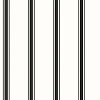 Modern Monochrome Stripes tapete